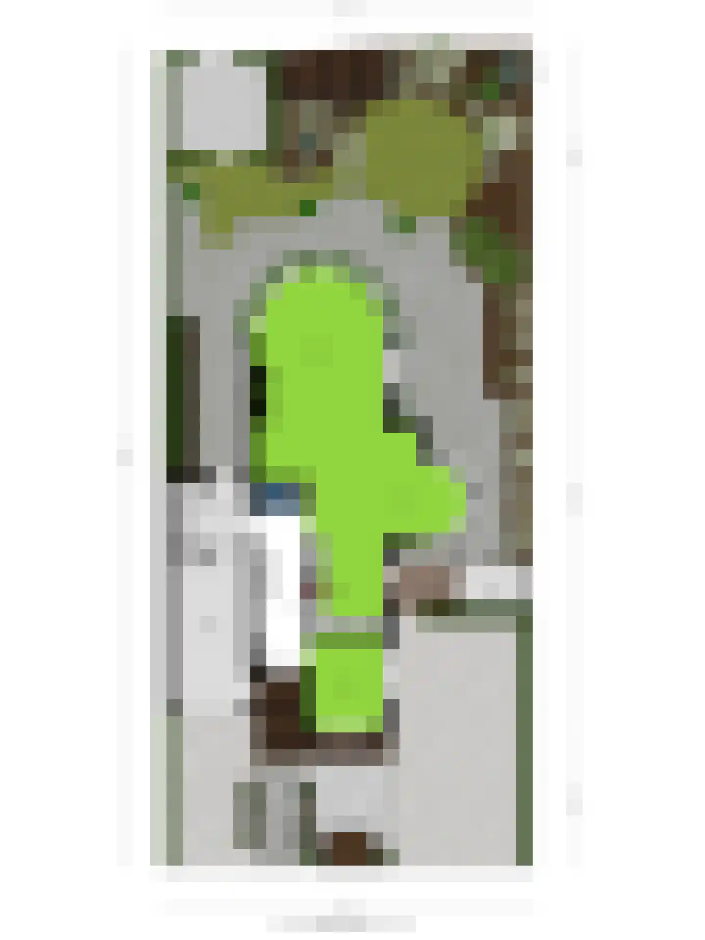 Oorgat 5 j Edam thumbnail 66