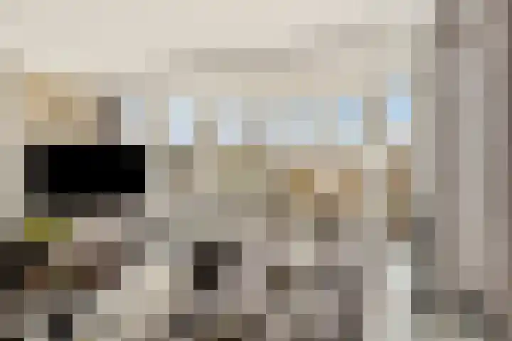 Oorgat 5 j Edam thumbnail 8