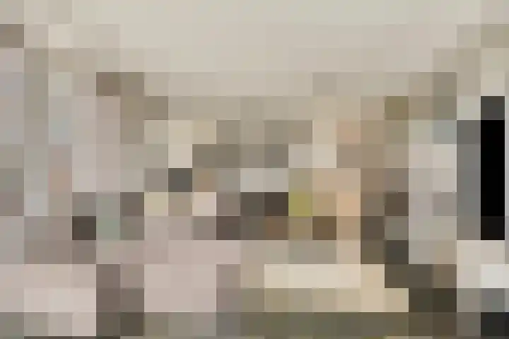 Oorgat 5 j Edam thumbnail 9