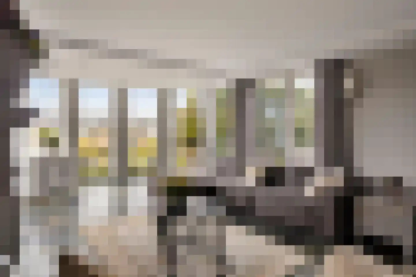 Oorgat 5 j Edam thumbnail 9