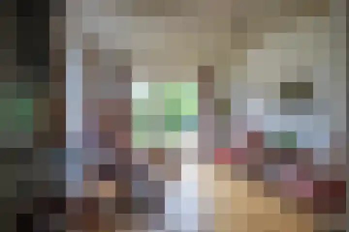 Oorsprongweg 10 De Cocksdorp thumbnail 10