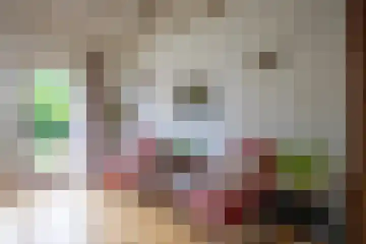 Oorsprongweg 10 De Cocksdorp thumbnail 11