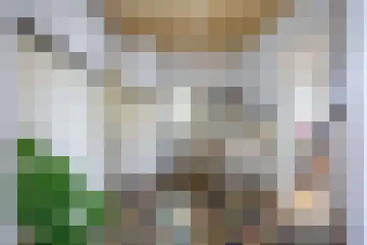 Oorsprongweg 10 De Cocksdorp thumbnail 13
