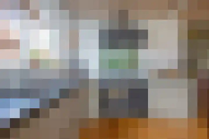 Oorsprongweg 10 De Cocksdorp thumbnail 16
