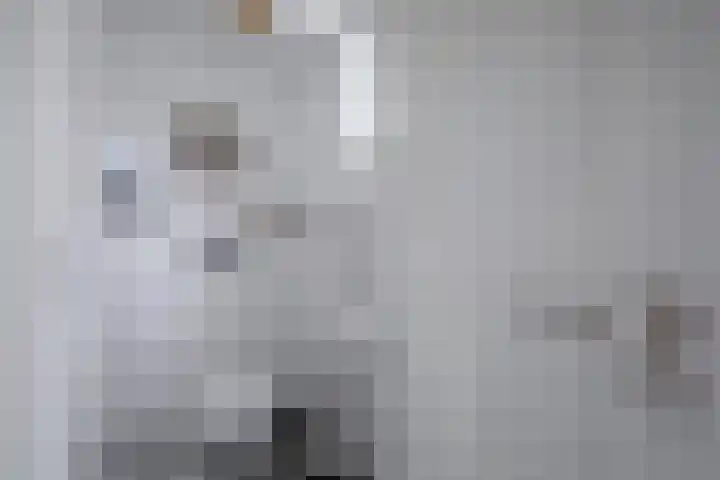 Oorsprongweg 10 De Cocksdorp thumbnail 20