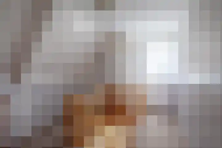 Oorsprongweg 10 De Cocksdorp thumbnail 24
