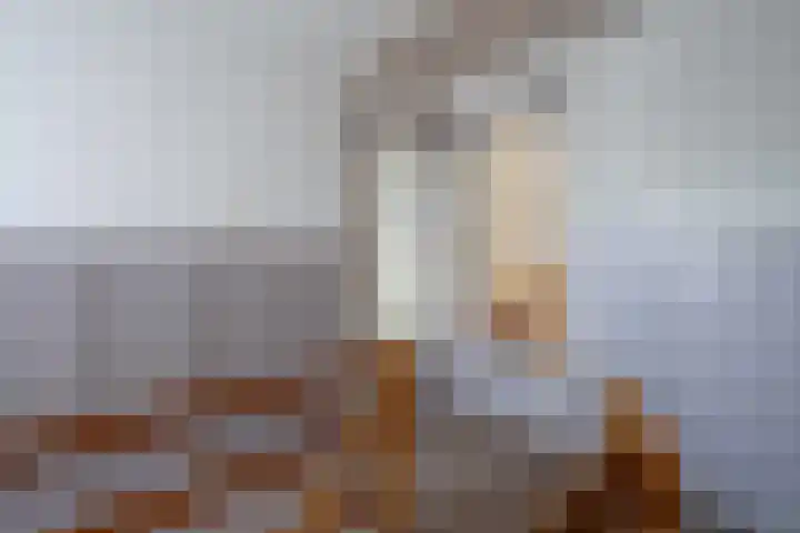 Oorsprongweg 10 De Cocksdorp thumbnail 25