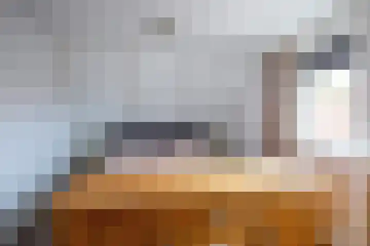 Oorsprongweg 10 De Cocksdorp thumbnail 26