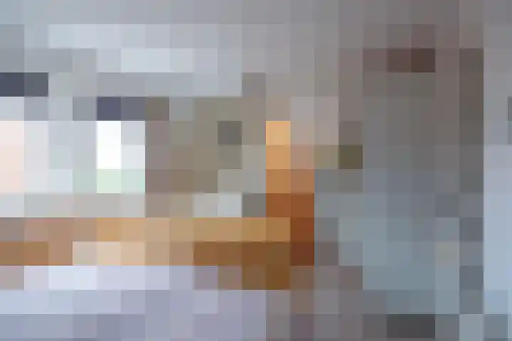 Oorsprongweg 10 De Cocksdorp thumbnail 27