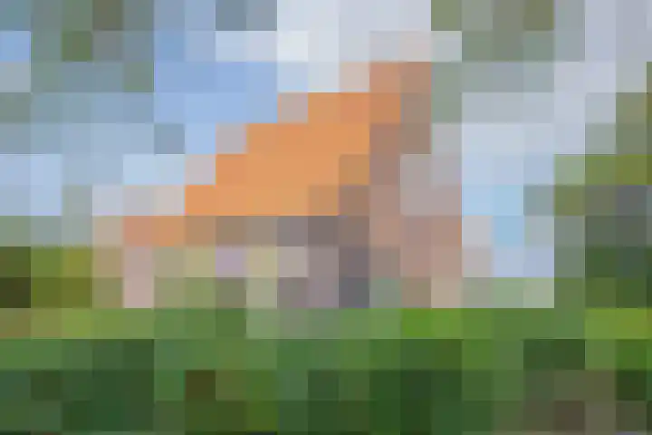 Oorsprongweg 10 De Cocksdorp thumbnail 30