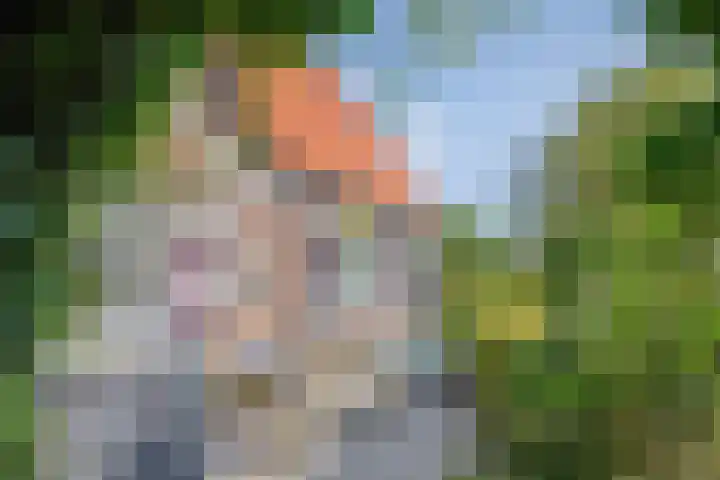 Oorsprongweg 10 De Cocksdorp thumbnail 31