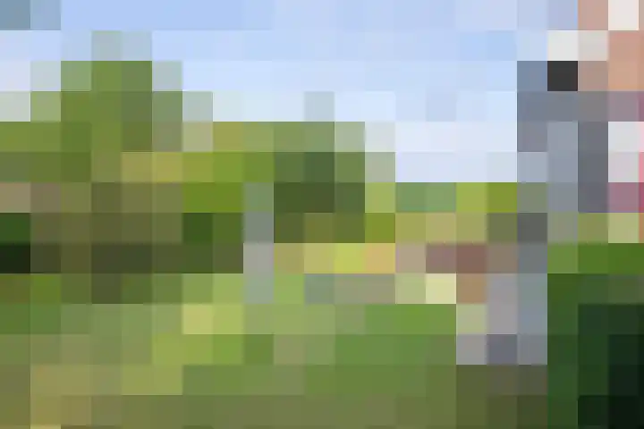 Oorsprongweg 10 De Cocksdorp thumbnail 34