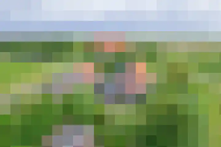 Oorsprongweg 10 De Cocksdorp thumbnail 36