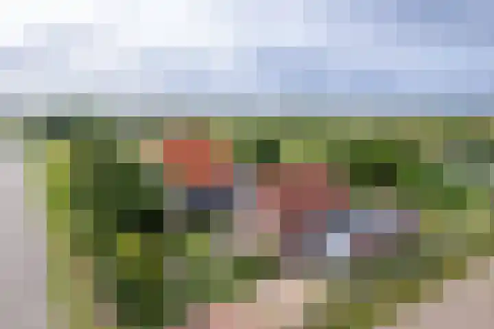 Oorsprongweg 10 De Cocksdorp thumbnail 37