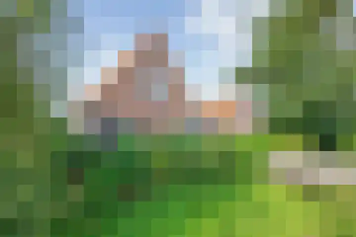 Oorsprongweg 10 De Cocksdorp thumbnail 4