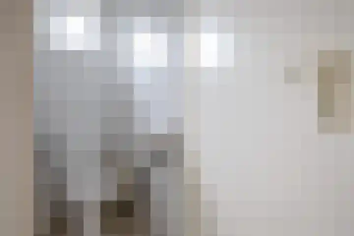 Oorsprongweg 10 De Cocksdorp thumbnail 46