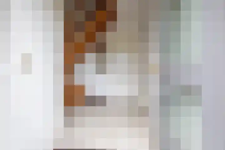 Oorsprongweg 10 De Cocksdorp thumbnail 47