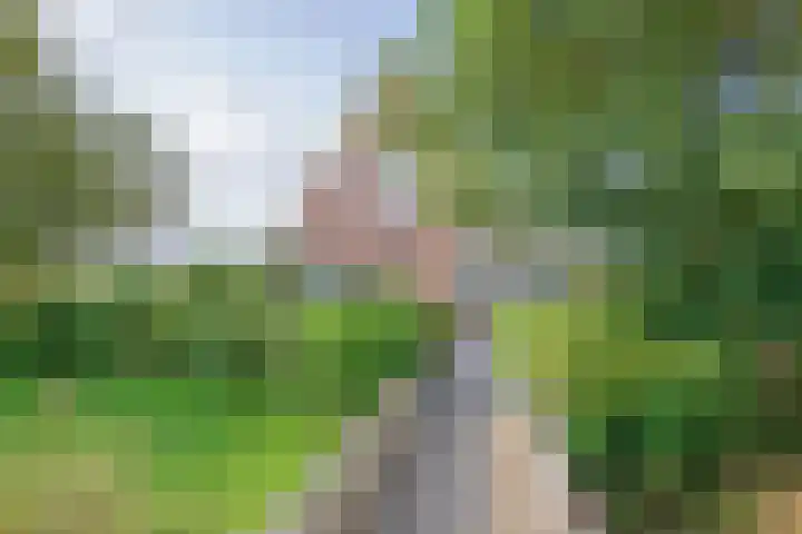 Oorsprongweg 10 De Cocksdorp thumbnail 5