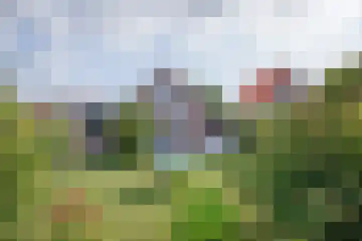 Oorsprongweg 10 De Cocksdorp thumbnail 53