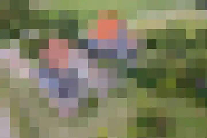 Oorsprongweg 10 De Cocksdorp thumbnail 54