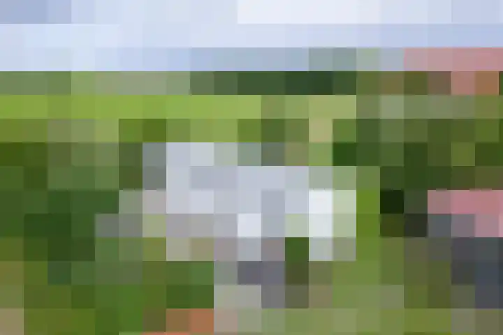 Oorsprongweg 10 De Cocksdorp thumbnail 55