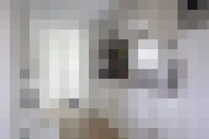 Oorsprongweg 10 De Cocksdorp thumbnail 60