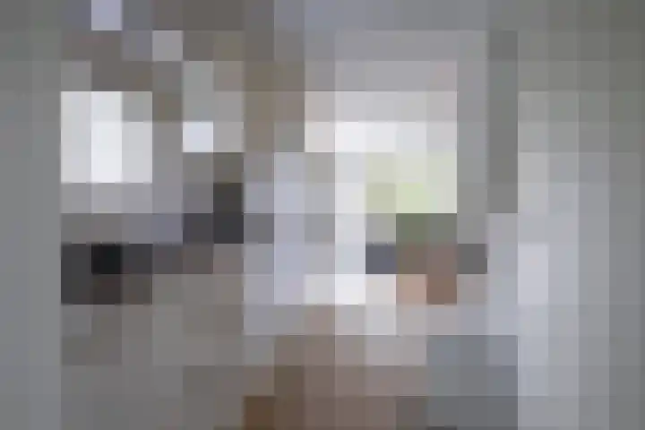 Oorsprongweg 10 De Cocksdorp thumbnail 61