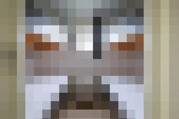 Oorsprongweg 10 De Cocksdorp thumbnail 64