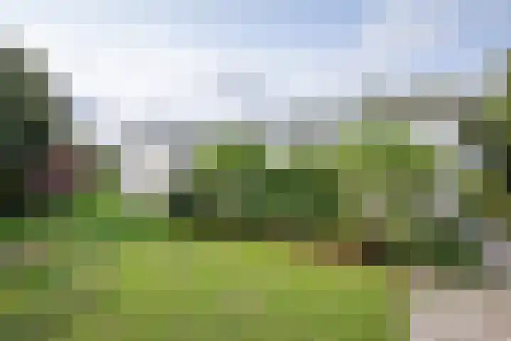 Oorsprongweg 10 De Cocksdorp thumbnail 67