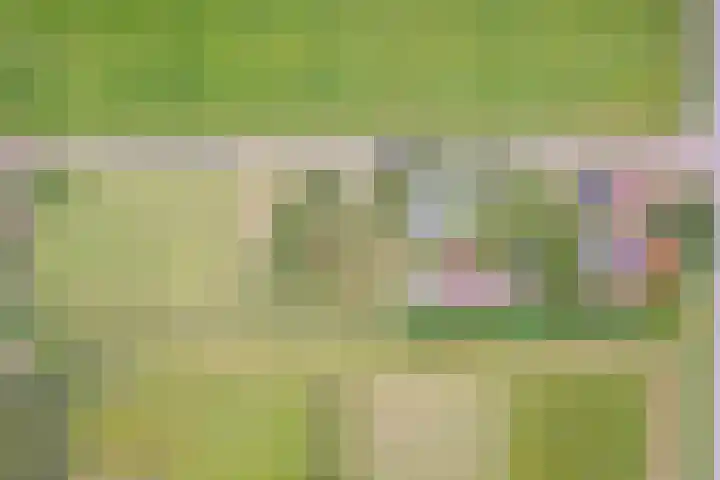 Oorsprongweg 10 De Cocksdorp thumbnail 68