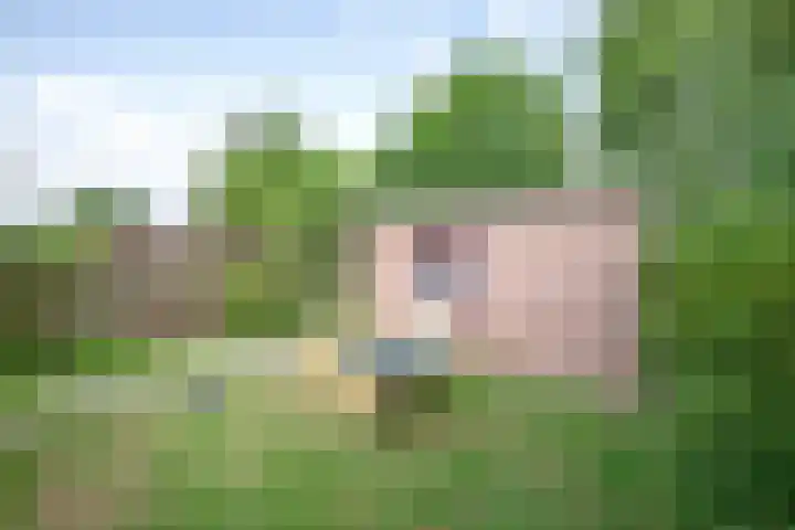 Oorsprongweg 10 De Cocksdorp thumbnail 69