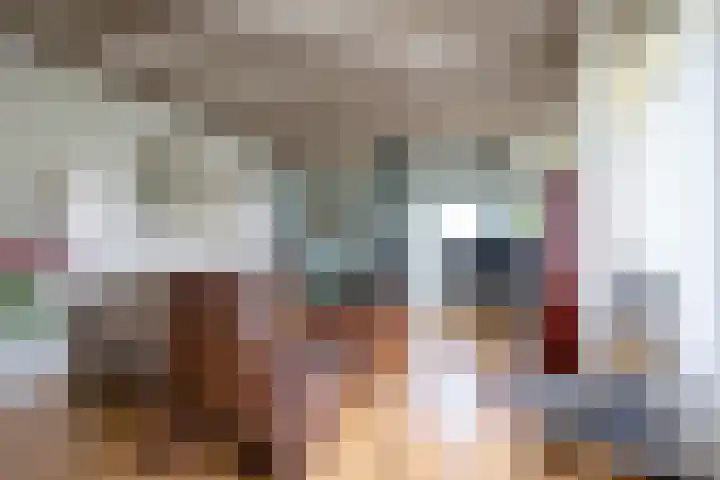 Oorsprongweg 10 De Cocksdorp thumbnail 7