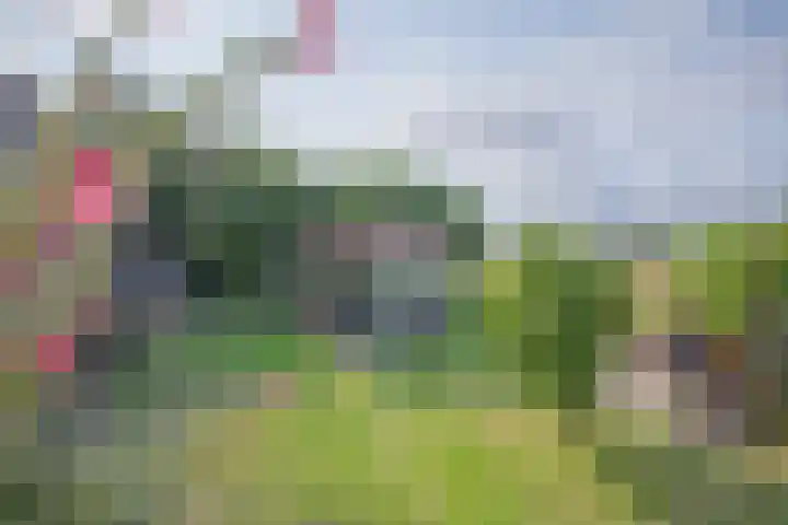 Oorsprongweg 10 De Cocksdorp thumbnail 71