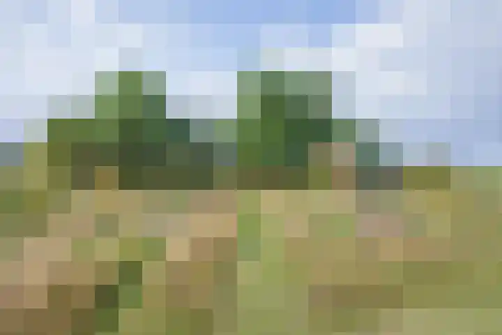 Oorsprongweg 10 De Cocksdorp thumbnail 72