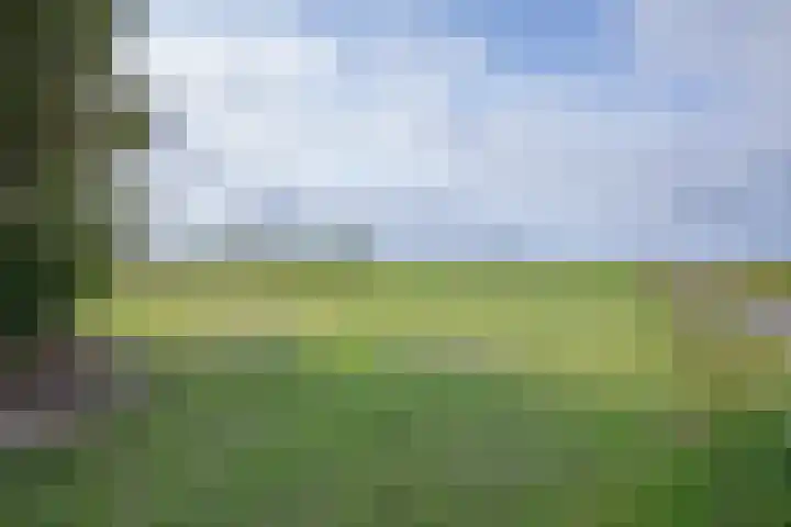 Oorsprongweg 10 De Cocksdorp thumbnail 73