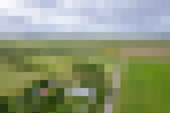 Oorsprongweg 10 De Cocksdorp thumbnail 74