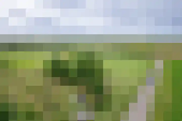 Oorsprongweg 10 De Cocksdorp thumbnail 75