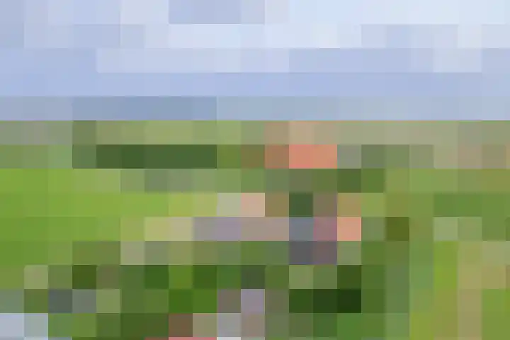 Oorsprongweg 10 De Cocksdorp thumbnail 76