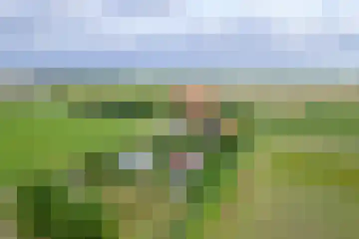 Oorsprongweg 10 De Cocksdorp thumbnail 77
