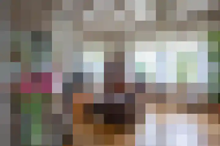 Oorsprongweg 10 De Cocksdorp thumbnail 8