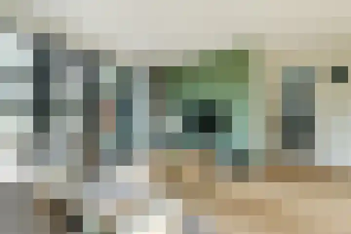 Oorsprongweg 8 0002 Schoorl thumbnail 10