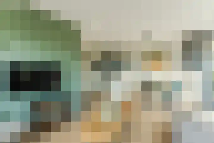 Oorsprongweg 8 0002 Schoorl thumbnail 11
