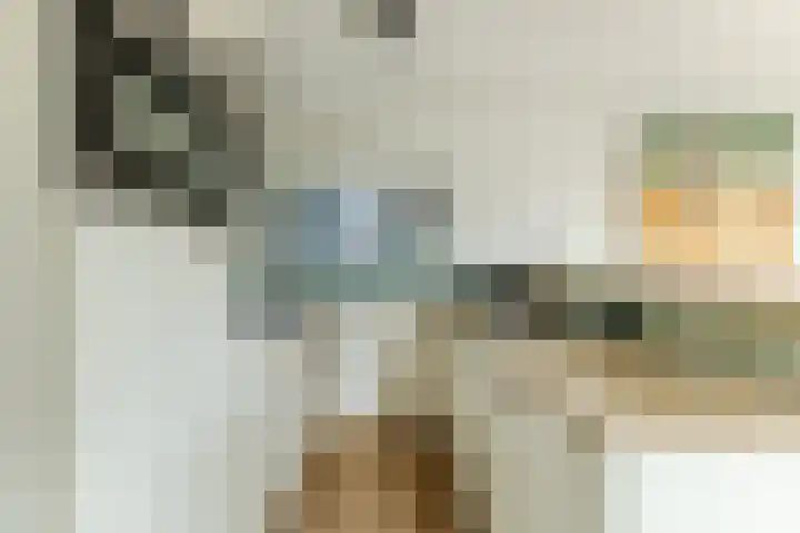 Oorsprongweg 8 0002 Schoorl thumbnail 13