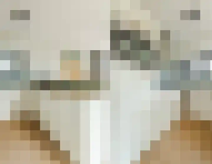 Oorsprongweg 8 0002 Schoorl thumbnail 14
