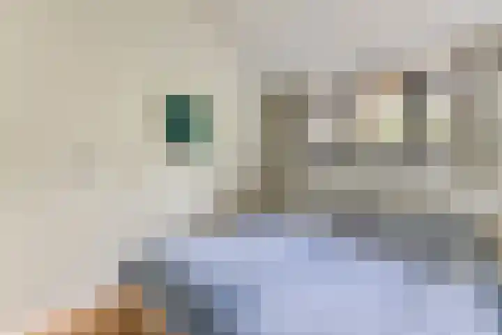 Oorsprongweg 8 0002 Schoorl thumbnail 16