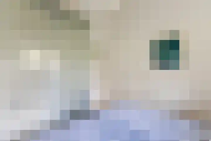 Oorsprongweg 8 0002 Schoorl thumbnail 17