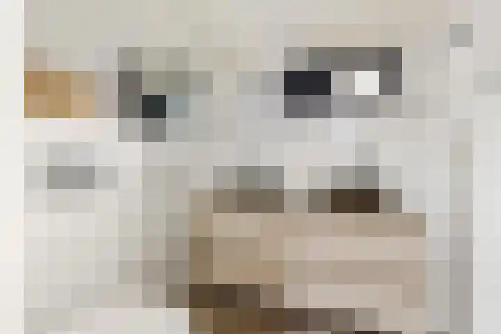 Oorsprongweg 8 0002 Schoorl thumbnail 18