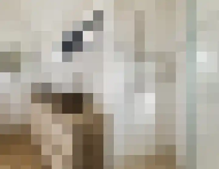 Oorsprongweg 8 0002 Schoorl thumbnail 19