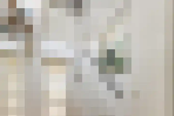 Oorsprongweg 8 0002 Schoorl thumbnail 20