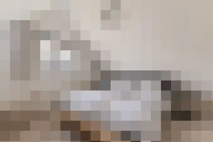 Oorsprongweg 8 0002 Schoorl thumbnail 21